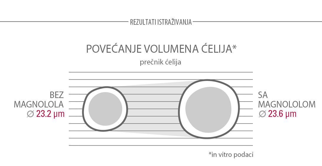 Magnolol povećava volumen ćelija