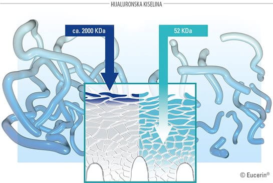 Način delovanja Eucerin Hyaluron-Filler Koncentrata