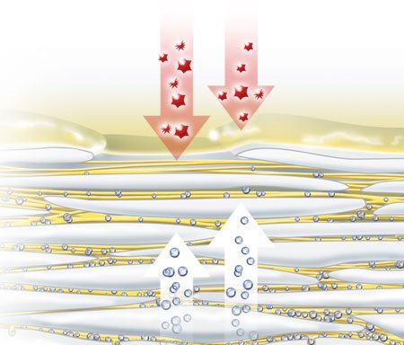 Ilustracija isparavanja prirodnih vlažećih faktora kroz kožu