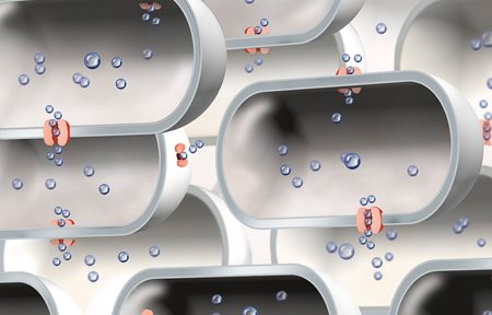 Ilustracija ograničenog broja akvaporina.